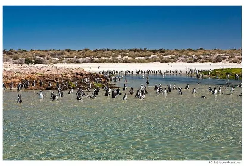 Hotelli Bahia Bustamante Lodge