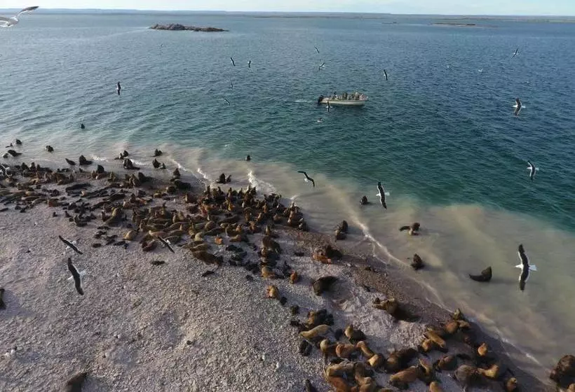 Hotelli Bahia Bustamante Lodge