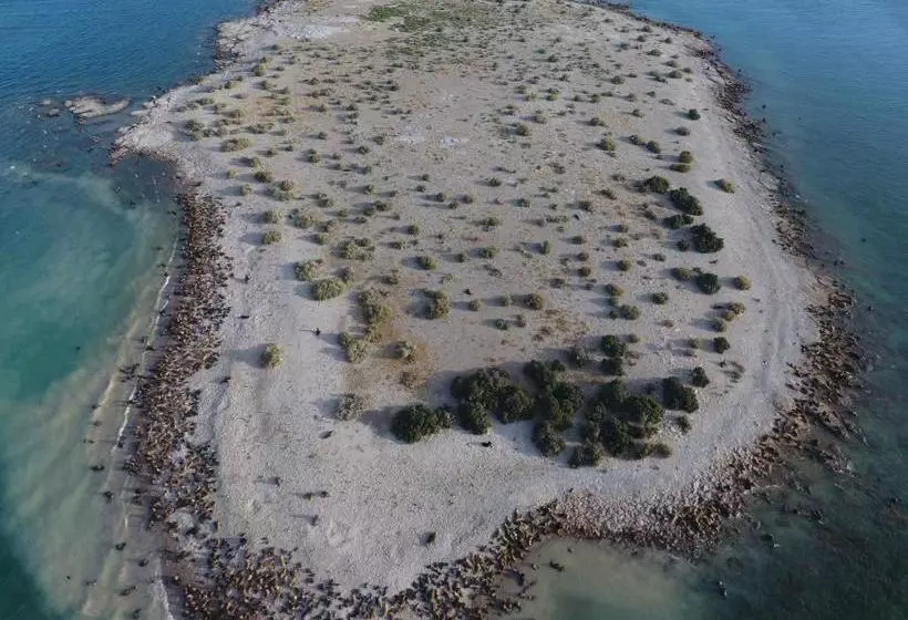 Hotelli Bahia Bustamante Lodge