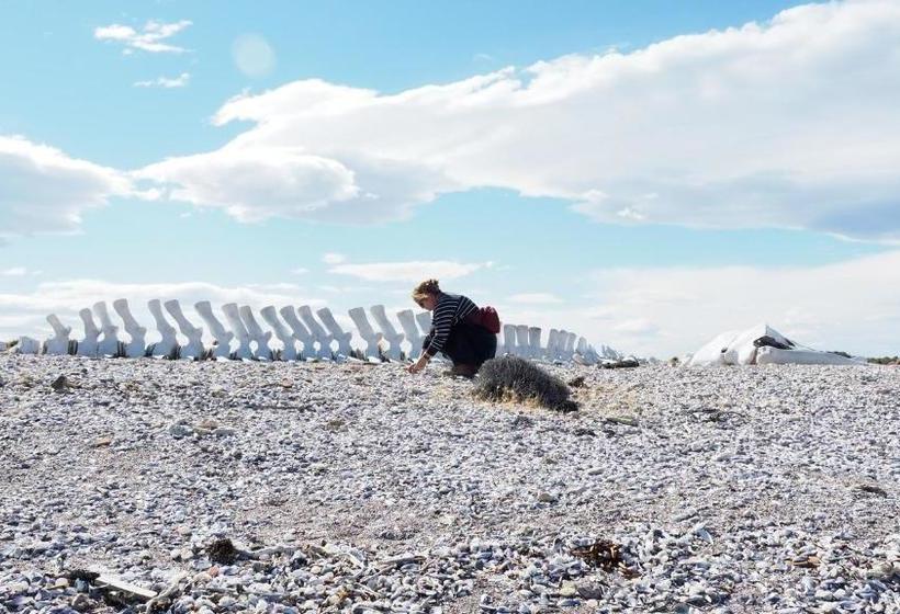 Hotel Bahia Bustamante Lodge