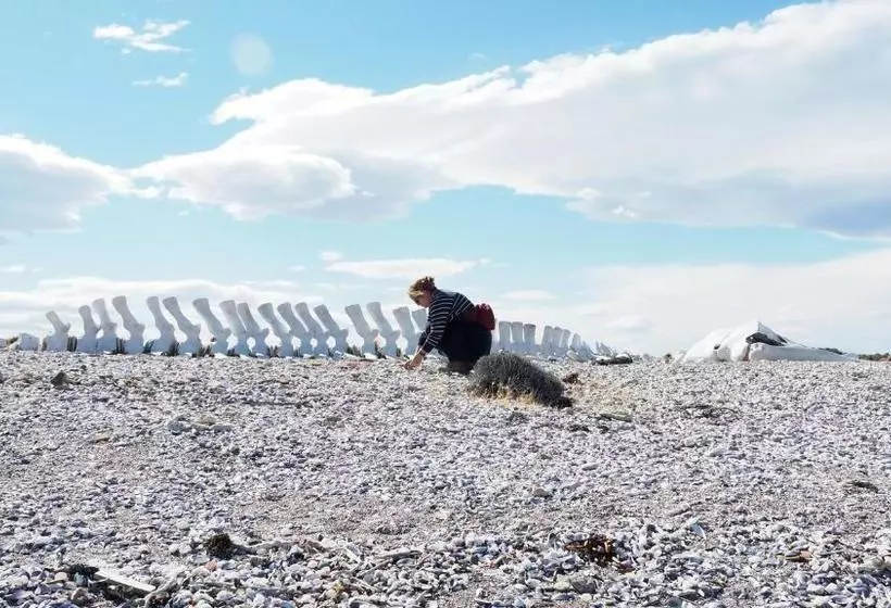 Hotelli Bahia Bustamante Lodge