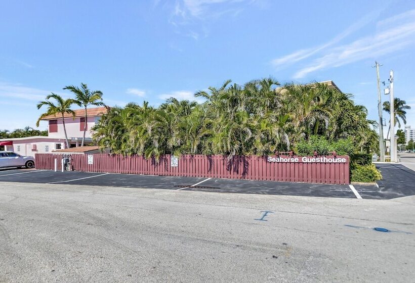 فندق على الطريق Seahorse Guesthouse