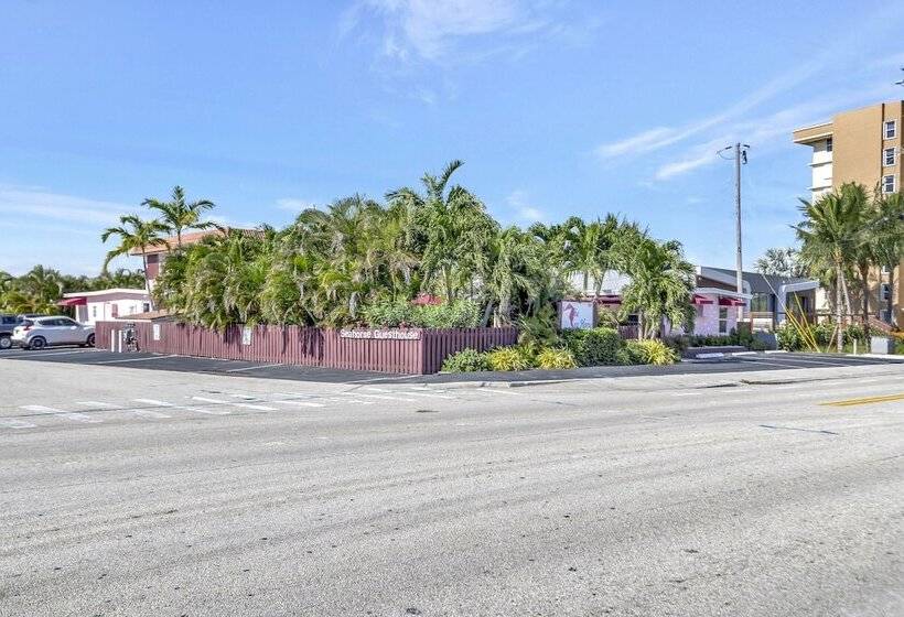 فندق على الطريق Seahorse Guesthouse