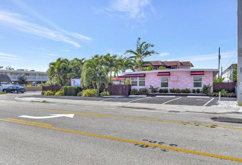 فندق على الطريق Seahorse Guesthouse