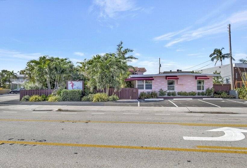 فندق على الطريق Seahorse Guesthouse