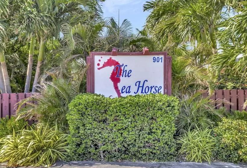 モーテル Seahorse Guesthouse