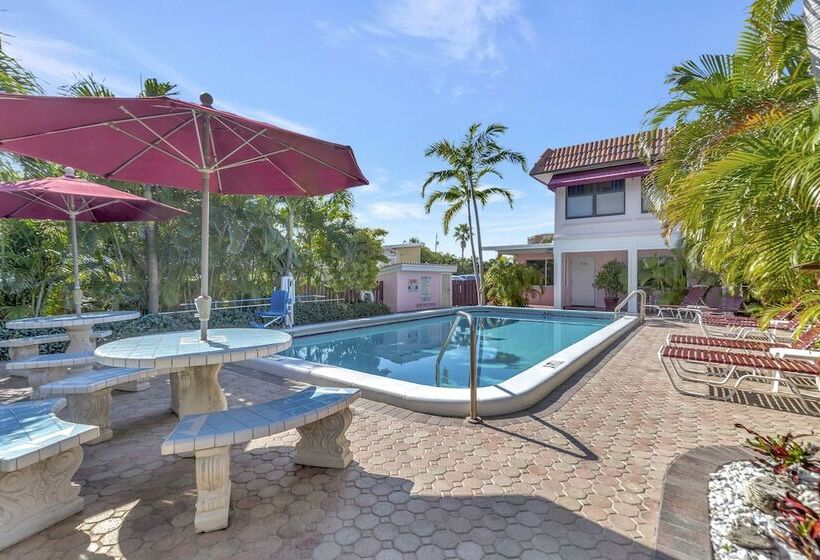 فندق على الطريق Seahorse Guesthouse