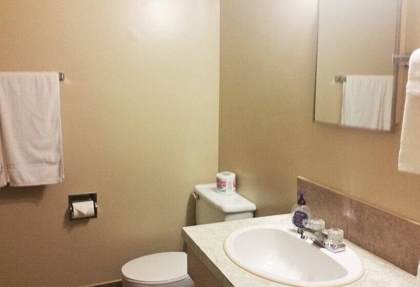 Viking Lamplighter Motel