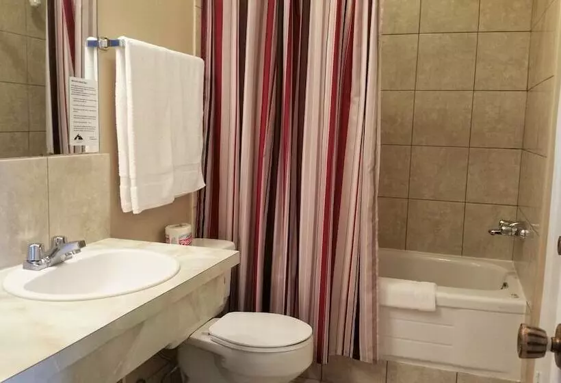 Viking Lamplighter Motel