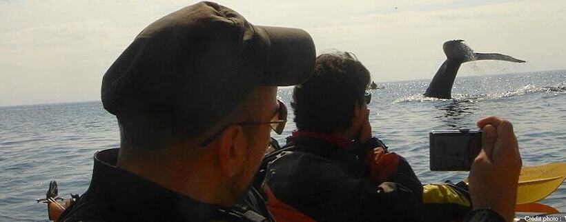 민박 Gite La Bergeronnette