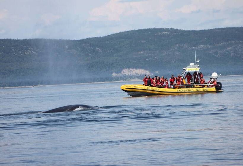 민박 Gite La Bergeronnette