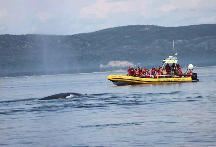 Aamiaismajoitus (B&B) Gite La Bergeronnette