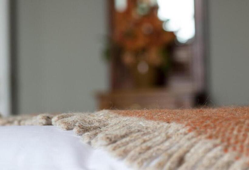 住宿加早餐  Pennygate Lodge