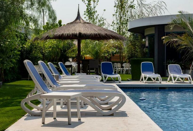 هتل Los Alpes Cipreses