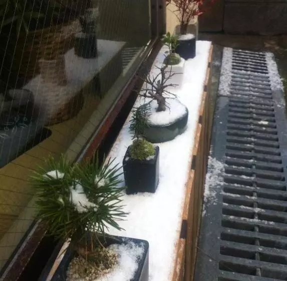 Music Uni Street Backpacker S Hostel