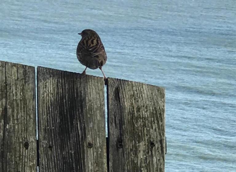 Bed and Breakfast Number 29  Only Adults