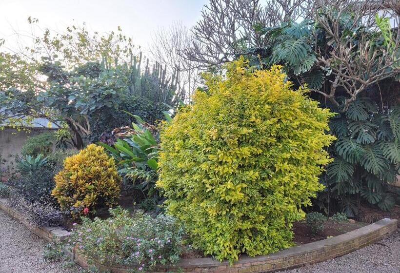 تختخواب و صبحانه Residence Matsiatra