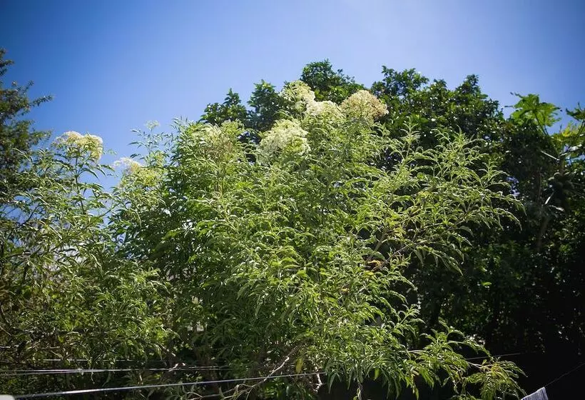 ホテル Santa Catarina