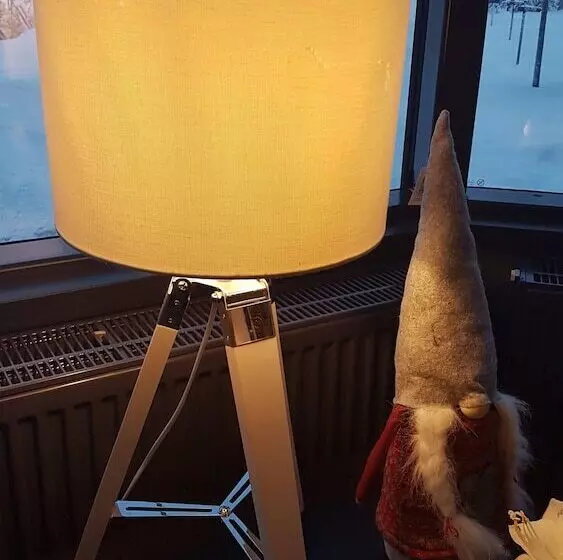 ホテル Santa S Igloos Arctic Circle