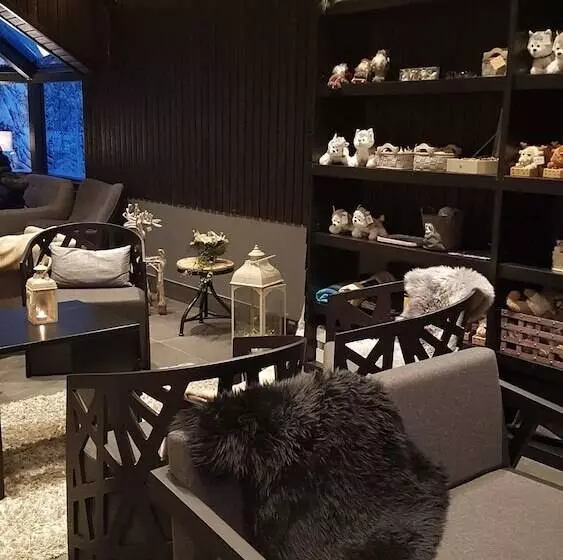 ホテル Santa S Igloos Arctic Circle