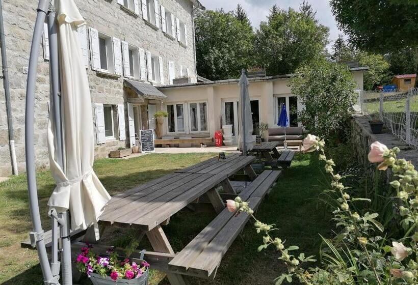 Bed and Breakfast Maison La Vigne   Gîtes Et Chambres D Hôtes