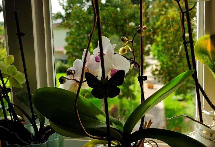 Villa Gherardi B&b E Hostel