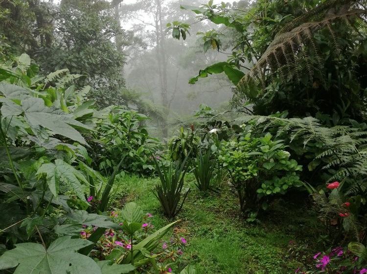 旅馆 Posada De Montaña Monserrat
