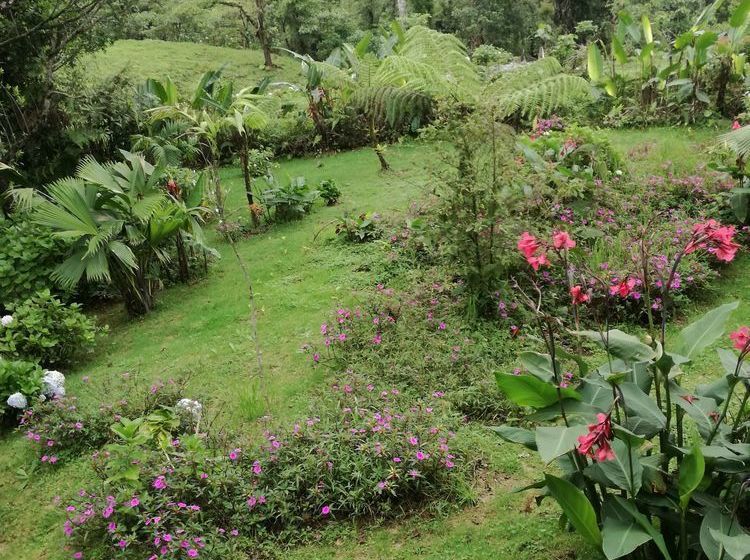 旅馆 Posada De Montaña Monserrat