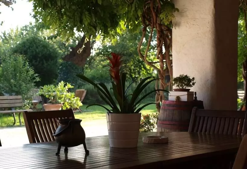 B&b Cà Cinel Asolo