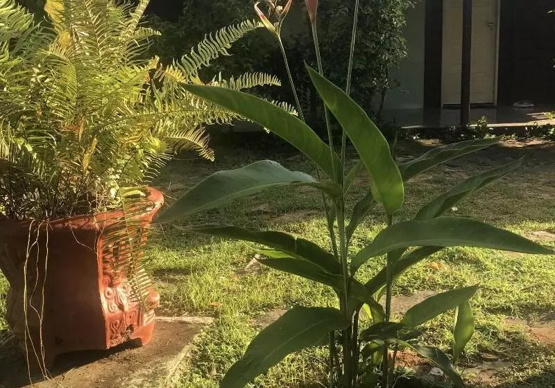 هتل Pousada Cheiro Verde