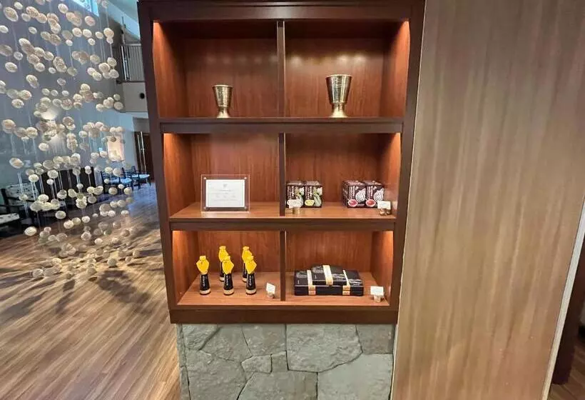 Hotelli Spa And Esthetique Suichokan Female&adult Only