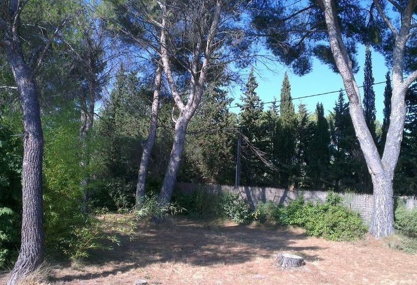 La Petite Maison Sous Les Pins