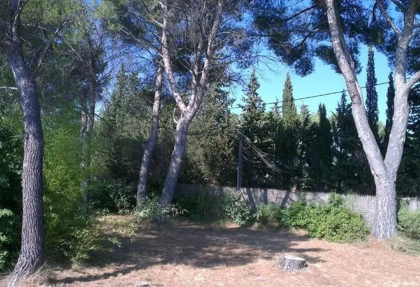 La Petite Maison Sous Les Pins