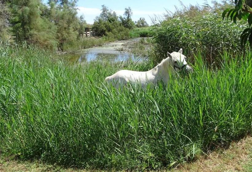 Общежитие Auberge De La Fadaise