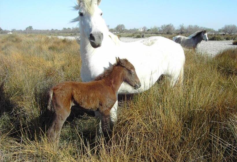 Общежитие Auberge De La Fadaise