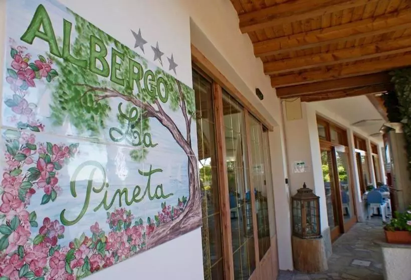 ホテル Albergo La Pineta