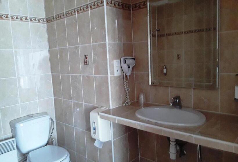 בית מלון כפרי Hôtel Evian Express   Terminus