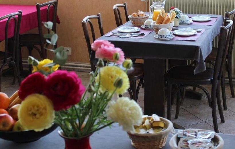 בית מלון כפרי Hôtel Evian Express   Terminus