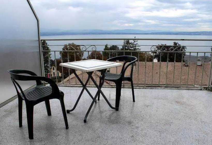 هتل Hôtel Evian Express   Terminus