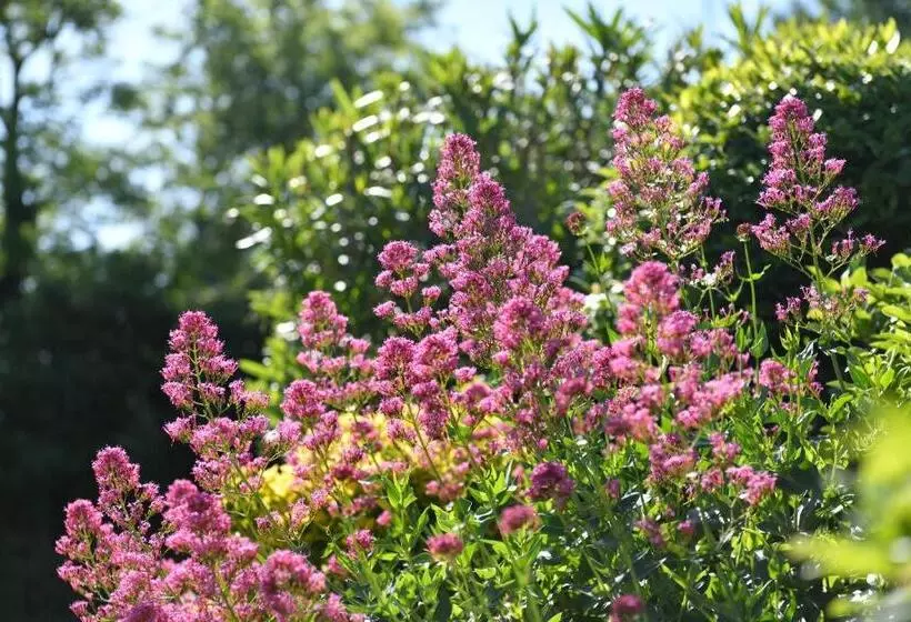 Hotelli Les Mazets De Marie De Jules