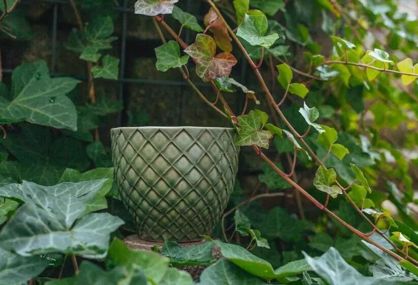 ホテル Zur Linde Dein Self Check In