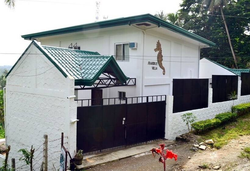 بنسيون Seahorse Villa