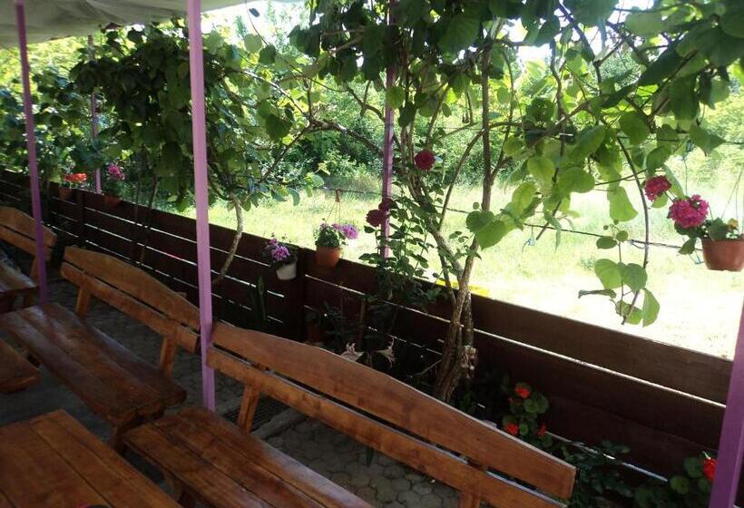 تختخواب و صبحانه Pansion Modana Medjugorje