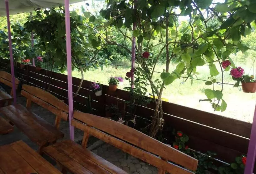 تختخواب و صبحانه Pansion Modana Medjugorje