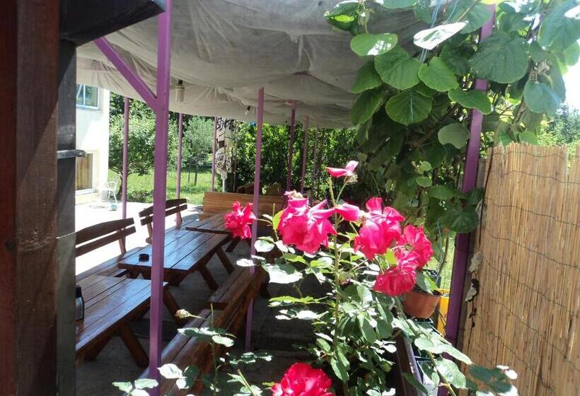 تختخواب و صبحانه Pansion Modana Medjugorje