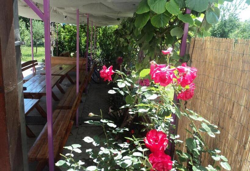 تختخواب و صبحانه Pansion Modana Medjugorje