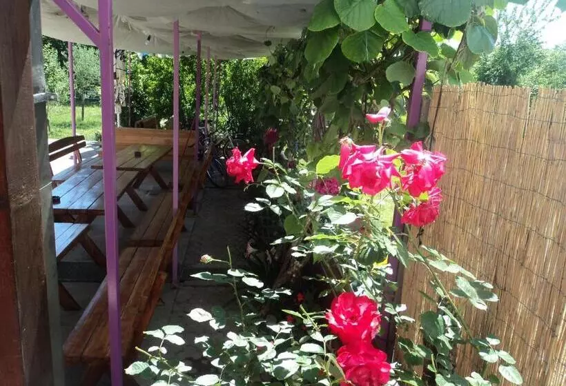 تختخواب و صبحانه Pansion Modana Medjugorje