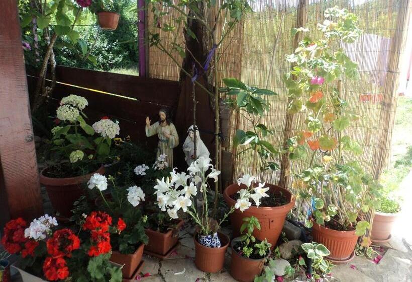 تختخواب و صبحانه Pansion Modana Medjugorje