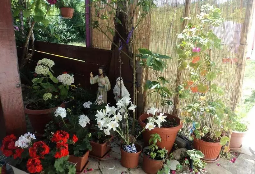 تختخواب و صبحانه Pansion Modana Medjugorje