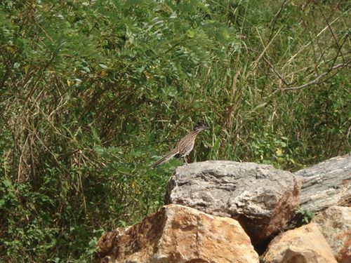 هتل Aguas Termales San Martín